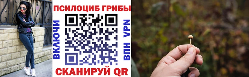 Галлюциногенные грибы Cubensis  купить наркотик  Циолковский 